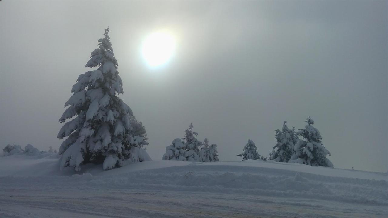 Baritur Lejlighed San Carlos de Bariloche Eksteriør billede